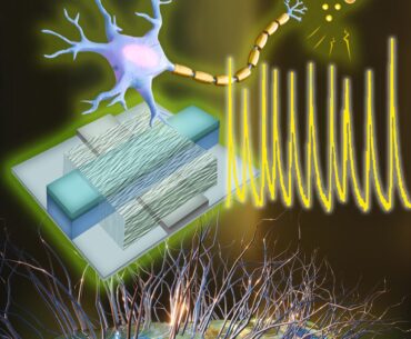 Engineers create first artificial neurons that could directly communicate with living cells