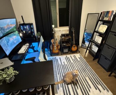 Rearranged the office! 🐱 approved