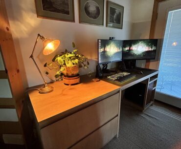 Finally got some art/decor for my setup 🌿🖥️