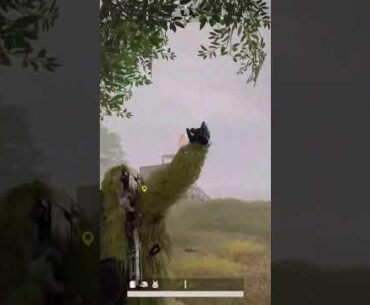 When Its In the Bag