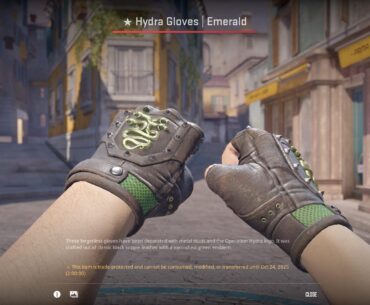 First pair of gloves