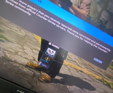 Thanks for reporting?Player Reports