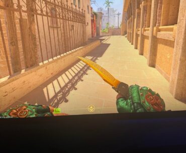 Options for my second knife (already own an emerald gut knife)