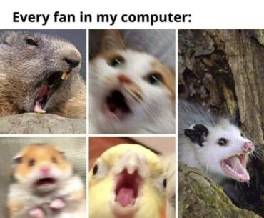 They be fighting for their lives