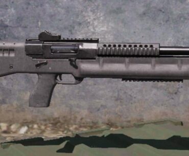 Does anybody even use these guns?