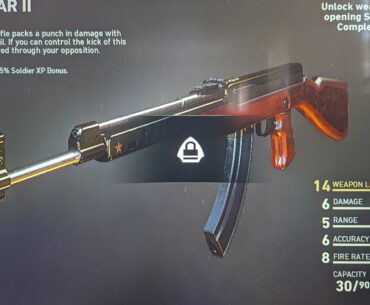 What does this arrow head lock symbol mean? As far as I can tell, the AS-44 is the only gun with this symbol on it.