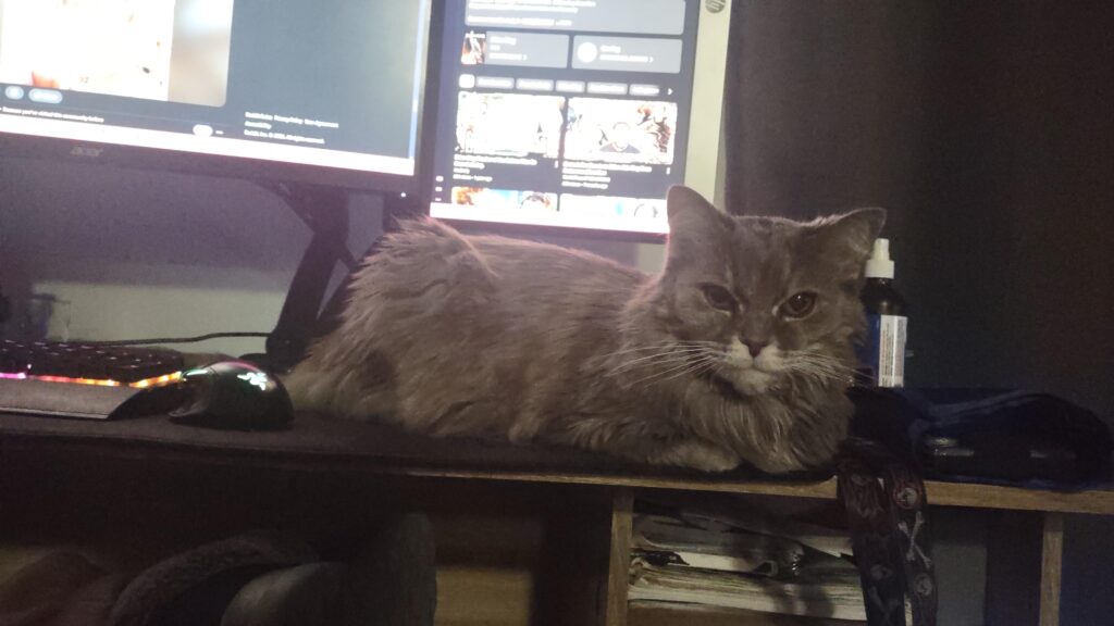 Shes stealing my mouse realestate!