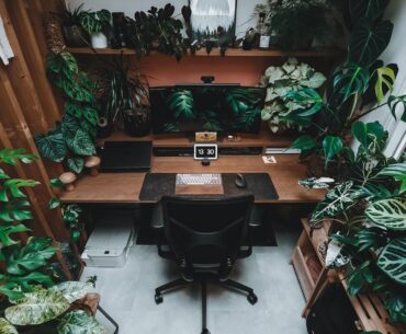 My custom oak desk + tropical jungle setup under a skylight 🌿