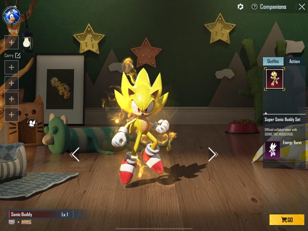 Somehow I can’t use this sonic companion