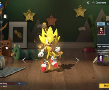 Somehow I can’t use this sonic companion