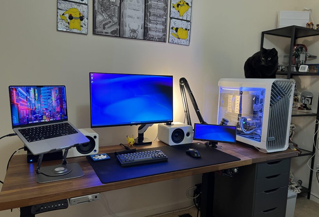 Hybrid work from home and Gaming setup (And cat perch)