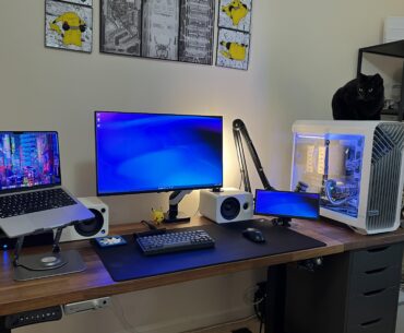 Hybrid work from home and Gaming setup (And cat perch)