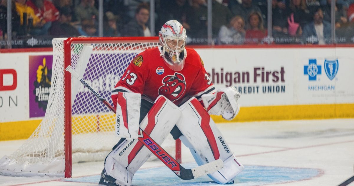 Rockford IceHogs | Game Preview: IceHogs and Wolves Open Next Chapter… Rockford IceHogs | Game Preview: IceHogs and Wolves Open Next Chapter…