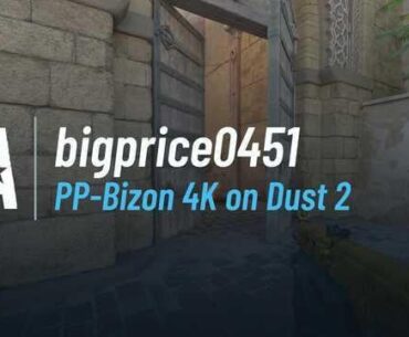 People say the bizon is bad lmao (it is)