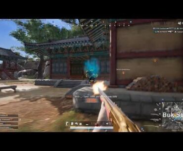 shotgun