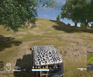 Nice lil pred