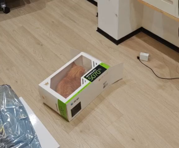 an orange RTX 5070 Ti