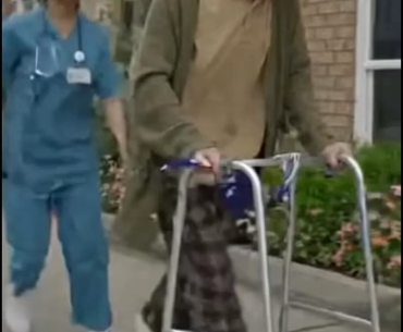 TGLTN spotted. What a legend.