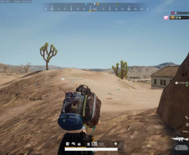 smoke decoy