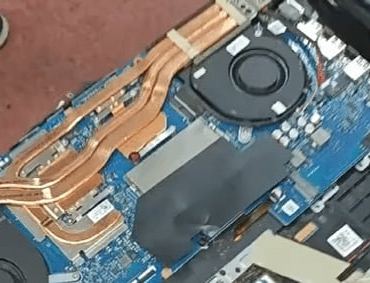 The laptop owner wondered why there were occasionally ants on her screen.