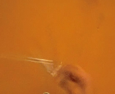 What bro does instead of planting bomb