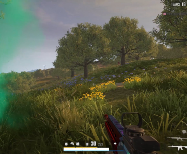 With a little help from my Panzer
