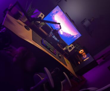 Flight Sim rig + WFH/Studying setup + dog sanctuary