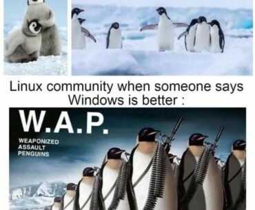 Its funny cause its true