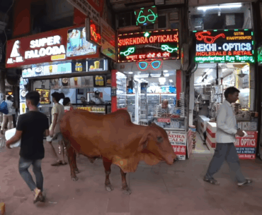 Cybermoo
