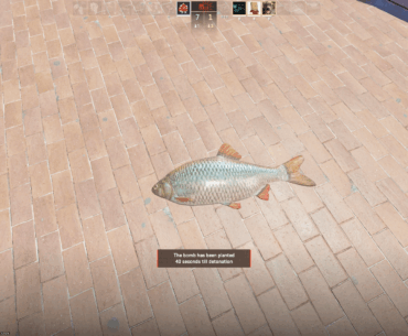 fish