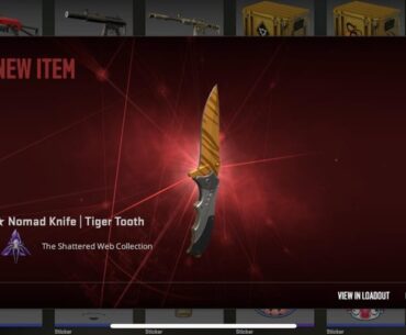 Just got my first knifeee after 8 years of playing