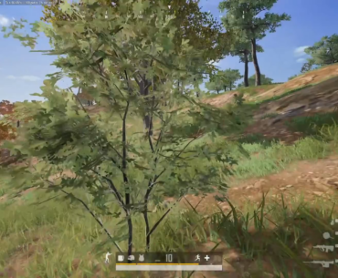 Passenger knock w Lynx