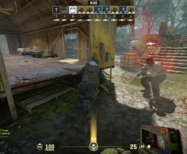 CS Shoots Bug