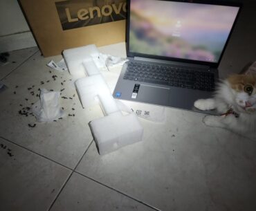 My most disturbing nightmare: live ants and sanitary wipes inside a brand new Lenovo laptop