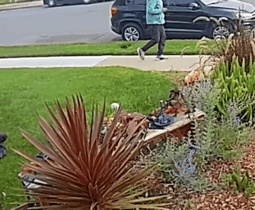 Jogger knocks down Halloween decorations for no apparent reason