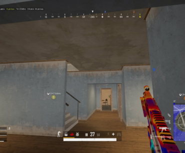 I stun gunned the last guy