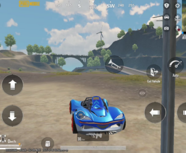 Tyre bug