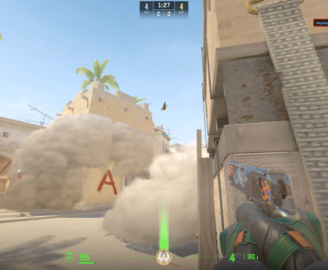 What the ragdoll
