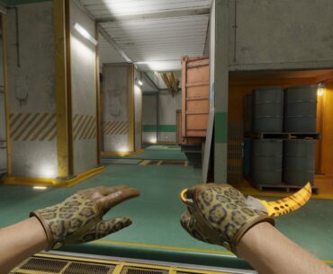 Opinions on gloves