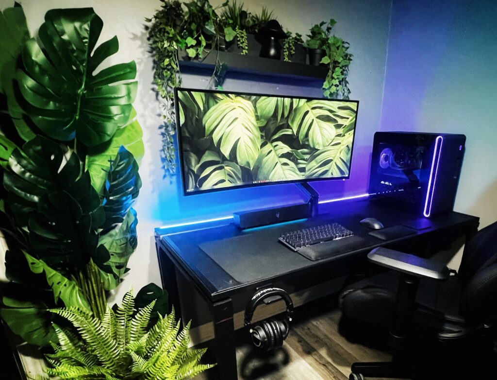 Welcome to the jungle baby