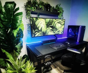 Welcome to the jungle baby