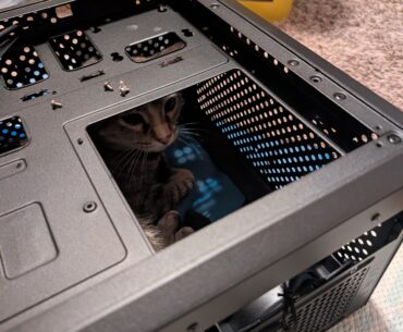 My computer is having a cat problem