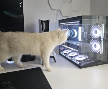 What is she thinking?