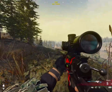 Through the trees