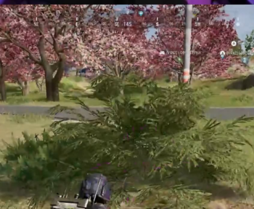 car in sight