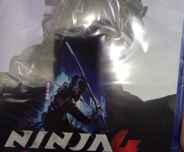 Too many games this month (ninja gaiden 4)