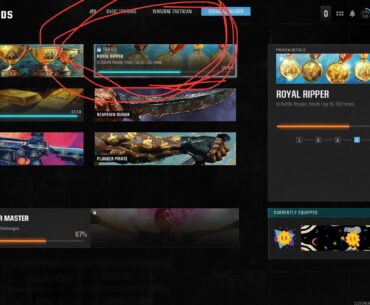 Seasoned Soldier Challenge bugged ?
