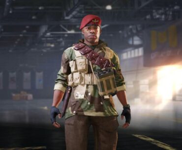 What happened to playing cod beta skins