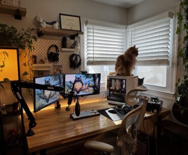 Cozy setup with cats