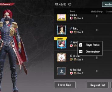 Clan leader quit out of nowhere. Anyway to get leadership?